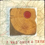 mixed  2013 ** SOLD **